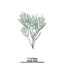 Rhyme Thyme -UT