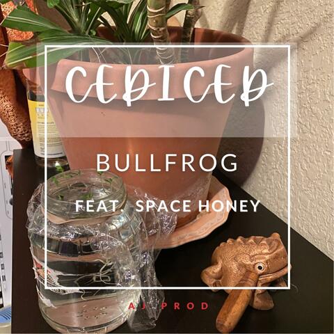 Bullfrog (feat. Space Honey)