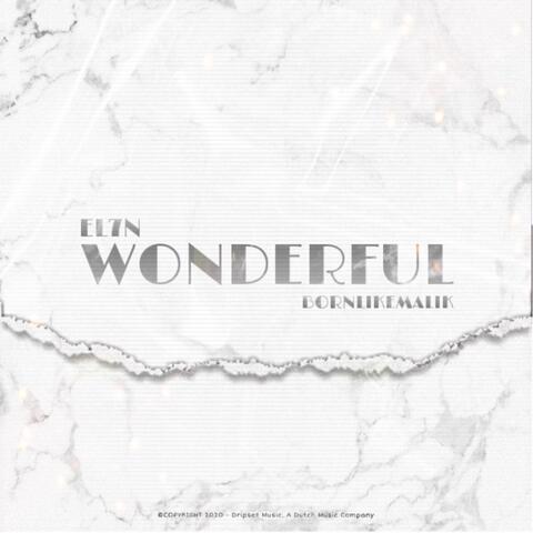 Wonderful (feat. Bornlikemalik)