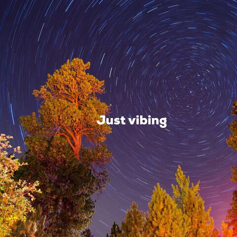 Just Vibing