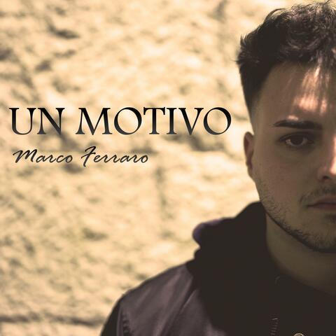 Un motivo