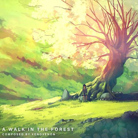A Walk In The Forest