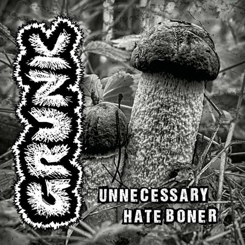 Unnecessary Hate Boner