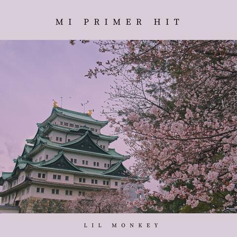 Mi Primer Hit