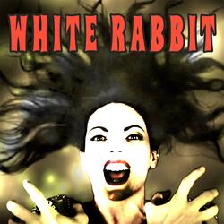White Rabbit