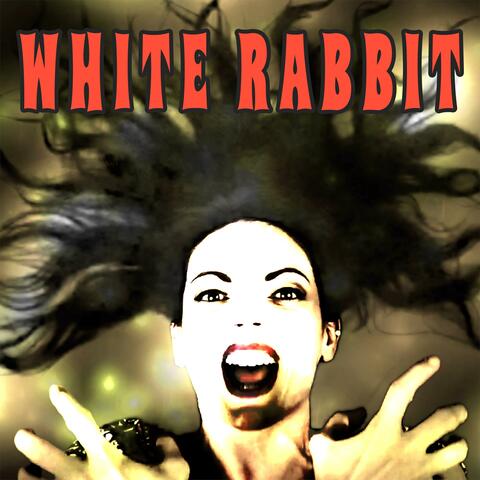 White Rabbit