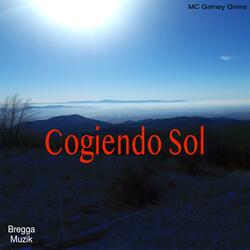 Cogíendo Sol