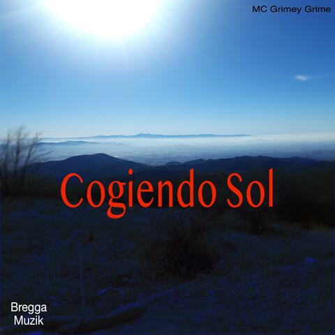 Cogíendo Sol