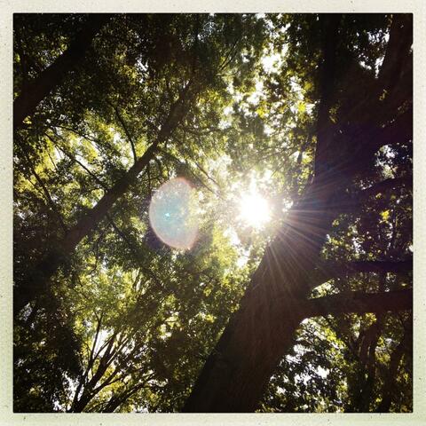 One morning