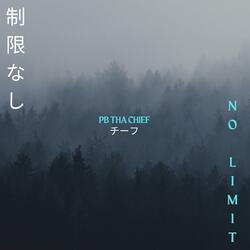 No Limit
