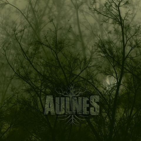 Aulnes