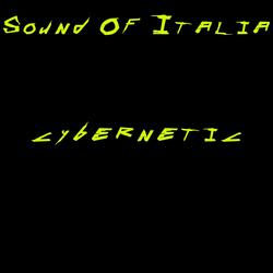 Cybernetic (Cyberpunk 2077)