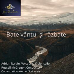 Bate Vantul si Razbate (feat. Adrian Nadine)