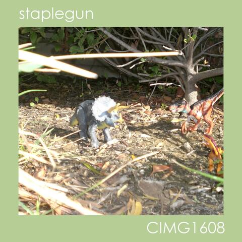 CIMG1608