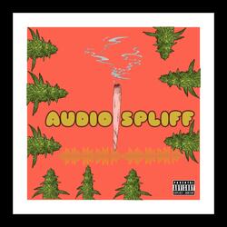 Audio Spliff