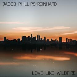 Love Like Wildfire