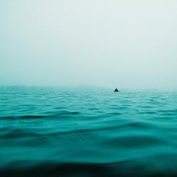 Do You Have the Highest Sailing Boat in the Ocean?