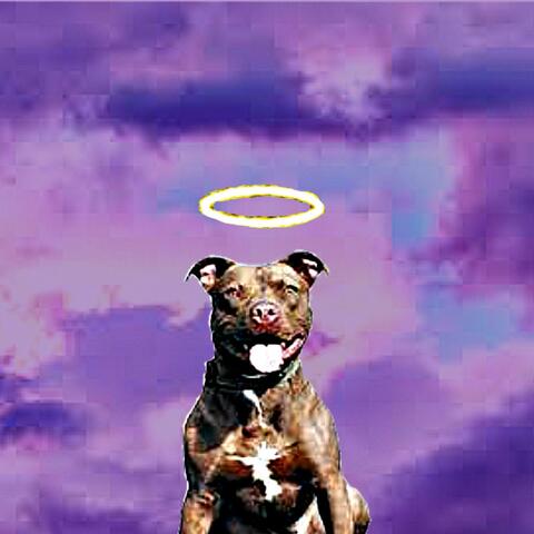 All Dawgs (feat. DJwhoshotit)