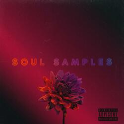 SOUL SAMPLES