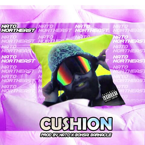 Cushion