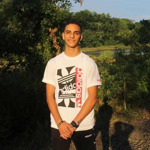 fady shewaya