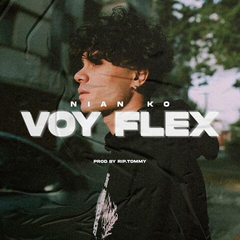 VOY FLEX (feat. Rip.Tommy)