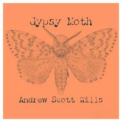 Gypsy Moth