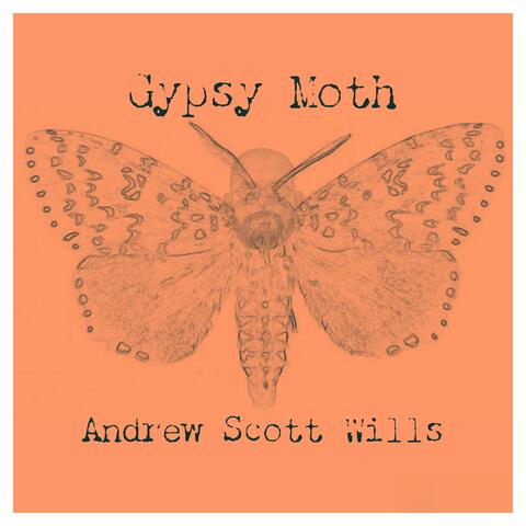 Gypsy Moth
