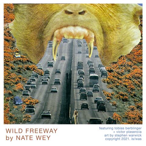 Wild Freeway