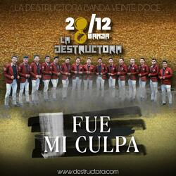 Fue Mi Culpa