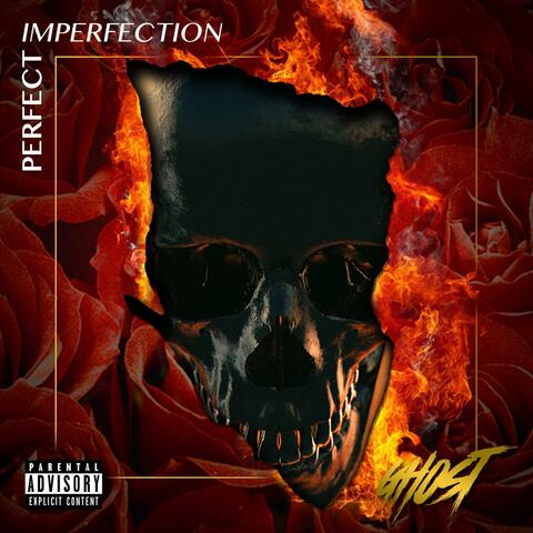 Perfect Imperfection