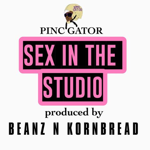 Sex In The Studio