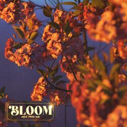 Bloom