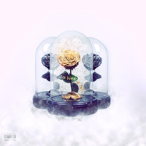 Wise Wordz (feat. Ravey K)