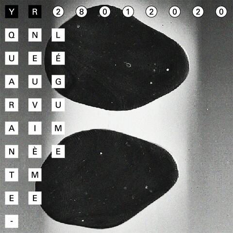 Quarante-Neuvième Légume