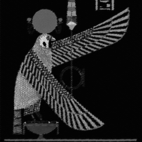 Thunderbird