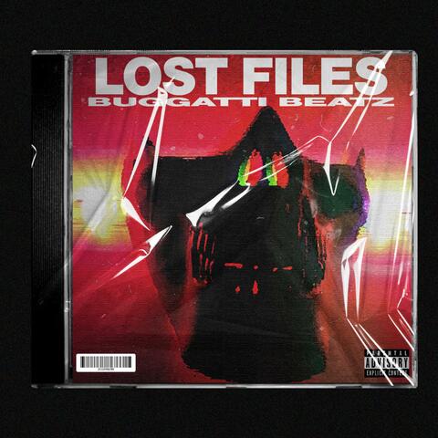 Lost Files