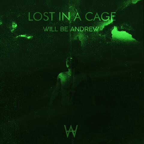 Lost In A Cage