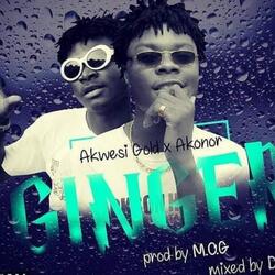 Ginger (feat. Akwasi Gold & Akonor)