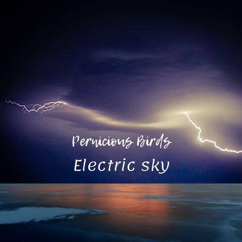 Electric Sky