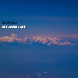 See What I See