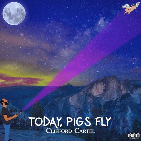 Today, Pigs Fly