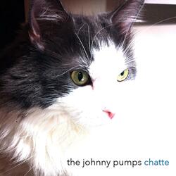 Chatte