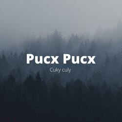Pucx Pucx