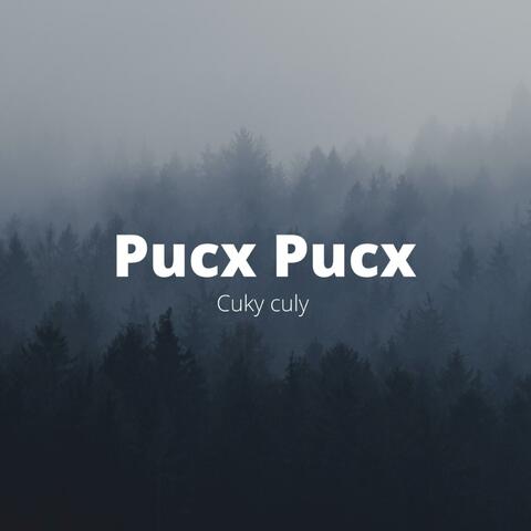 Pucx Pucx