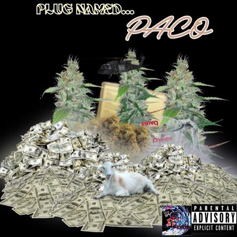 Plug Named Paco