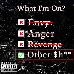 Other Shit