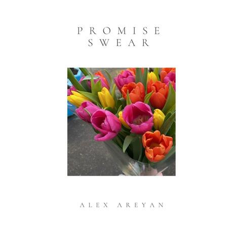 I promise, I swear