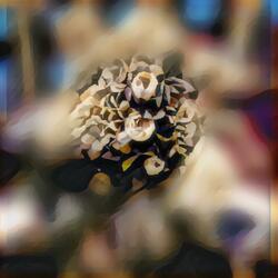 Only Two Thousand Pounds