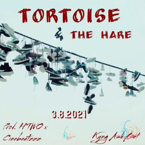 Tortoise & The Hare